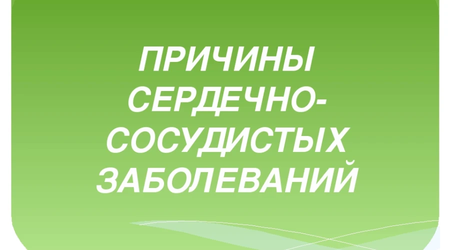 Профилактика сердечно-сосудистых заболеваний